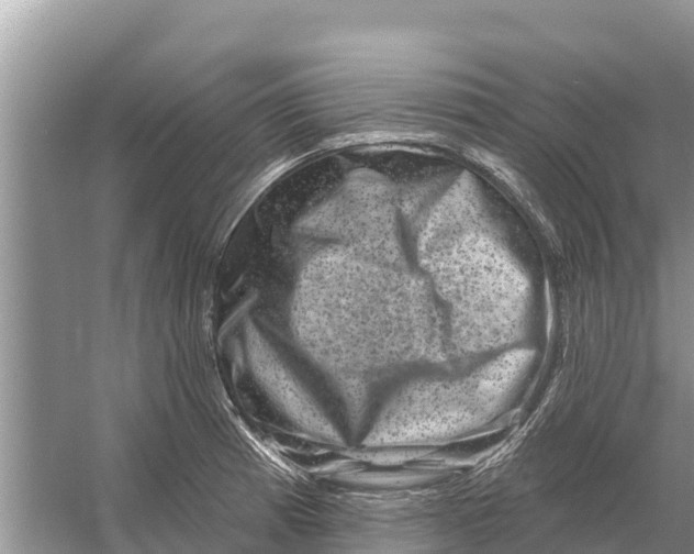 X0000055971185200509162150