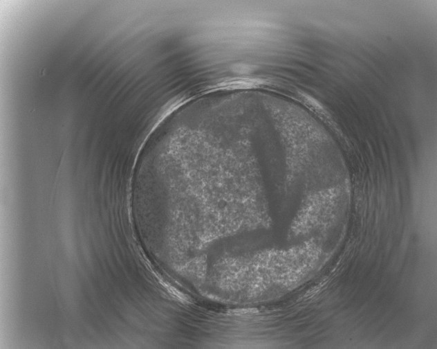 X0000055971186200509162150