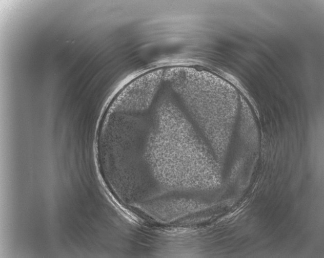 X0000055971187200509162150