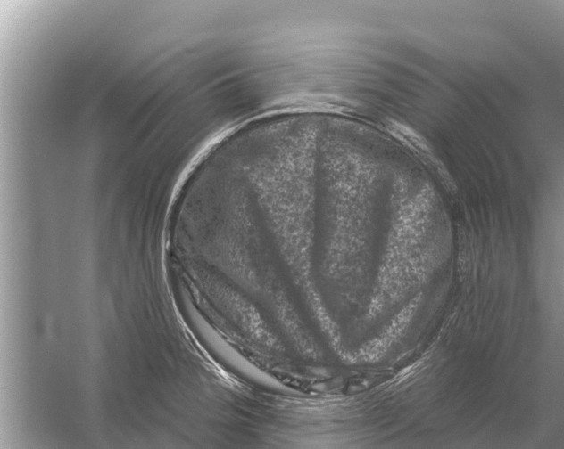 X0000055971188200509162150