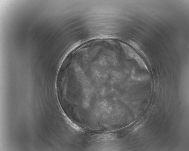 X0000055971189200509162150