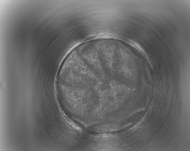 X0000055971190200509162150