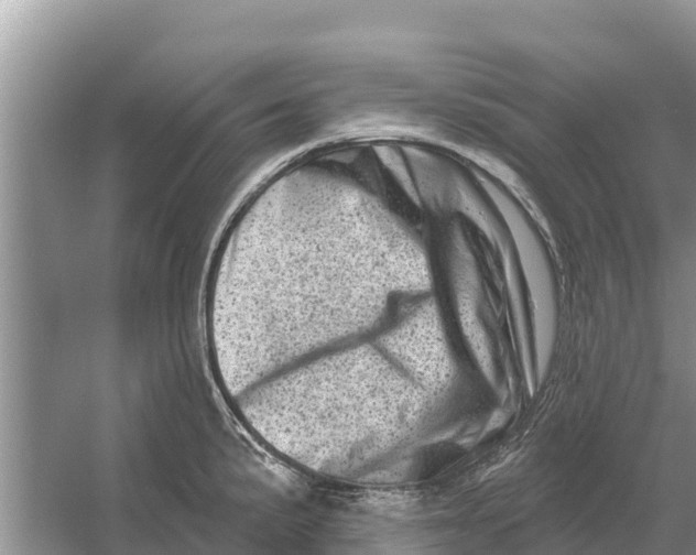 X0000055971191200509162150