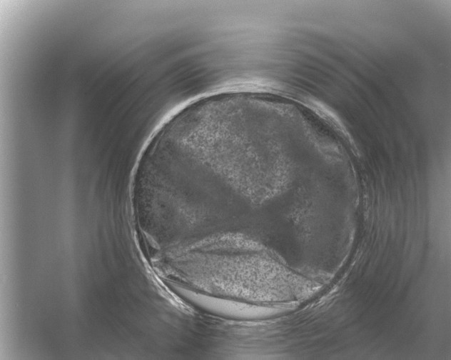 X0000055971192200509162150