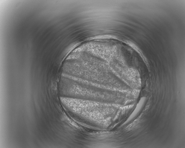 X0000055971193200509162150