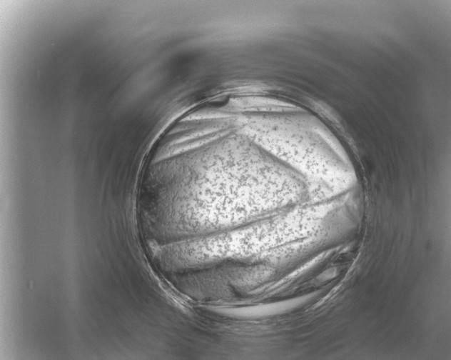 X0000055971194200509162150