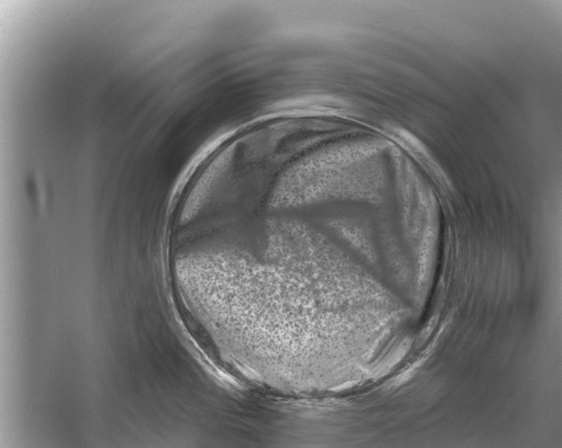 X0000055971196200509162150