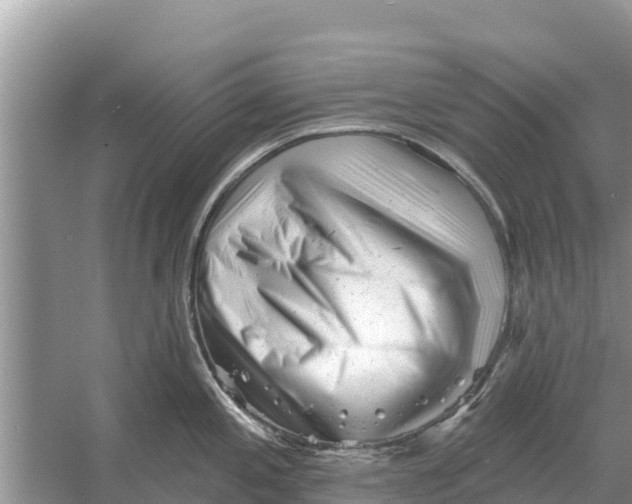 X0000055971197200509162150