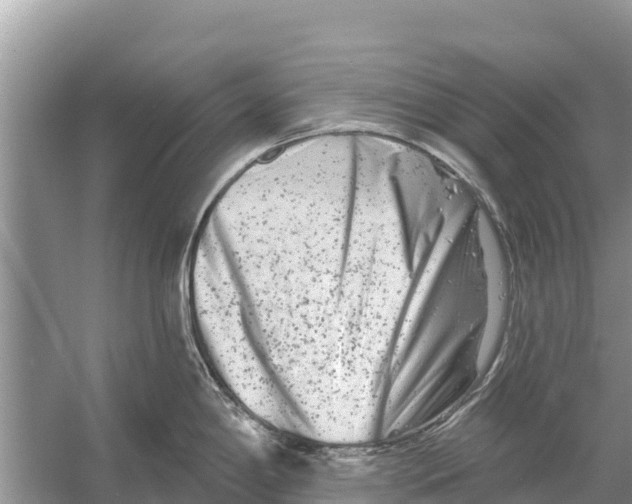 X0000055971198200509162150