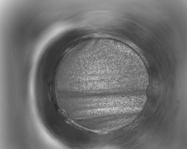 X0000055971199200509162150