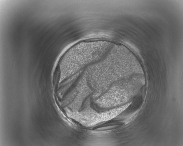 X0000055971200200509162150