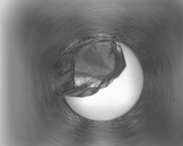 X0000055971202200509162149