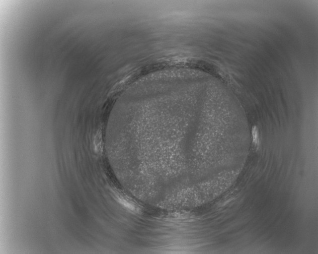 X0000055971203200509162149