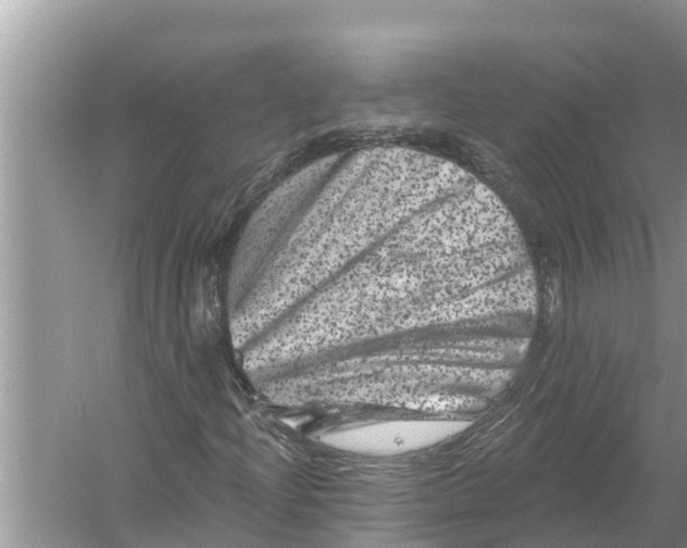 X0000055971204200509162149