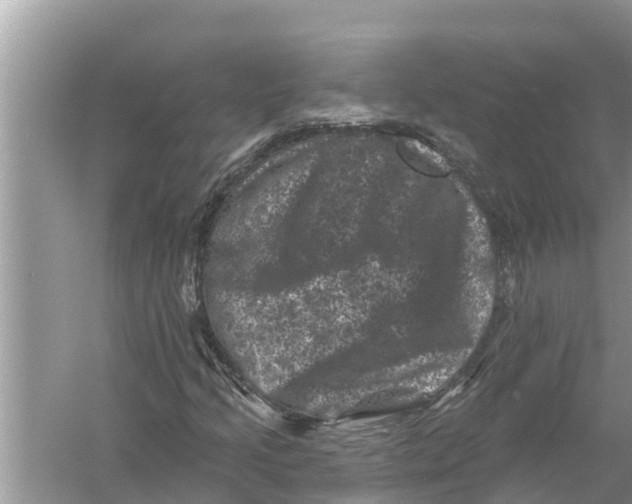 X0000055971205200509162149