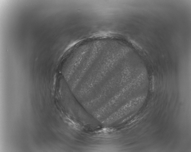 X0000055971206200509162149