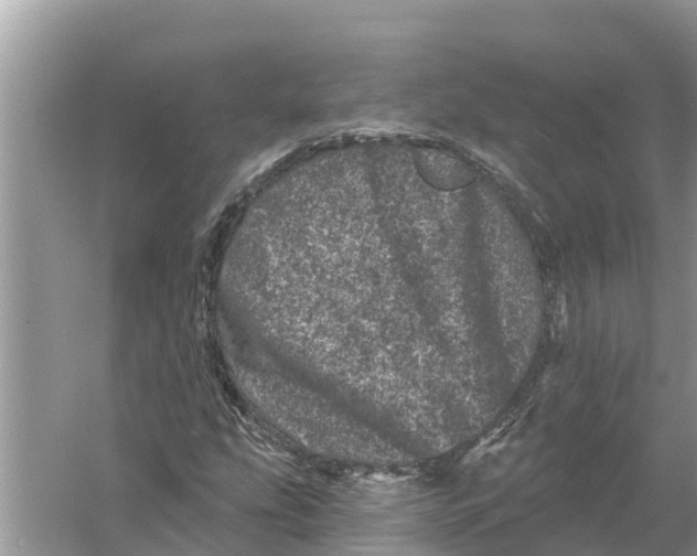 X0000055971207200509162149