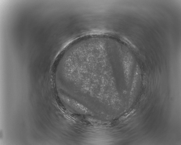 X0000055971208200509162149