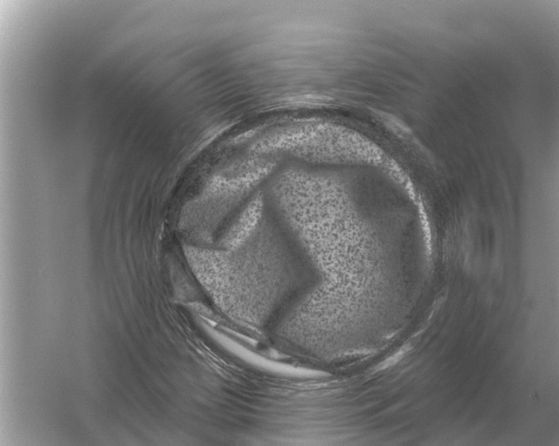 X0000055971209200509162149