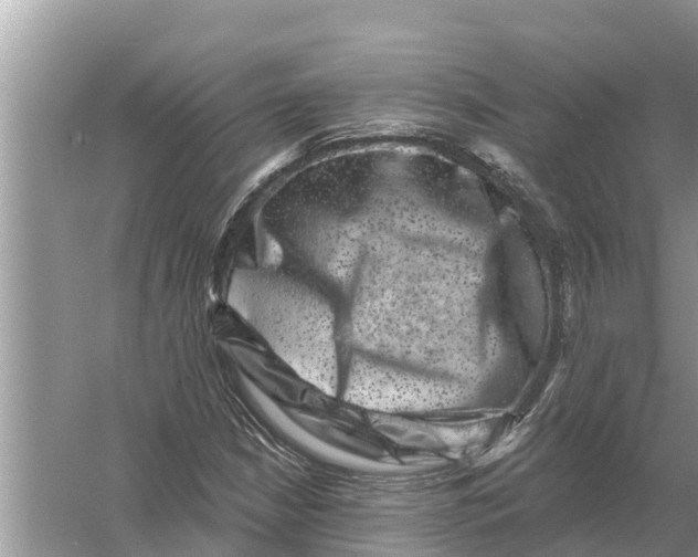 X0000055971210200509162149