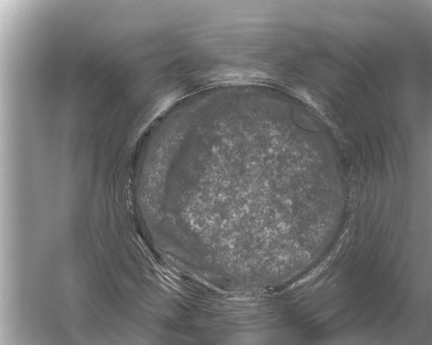 X0000055971211200509162149