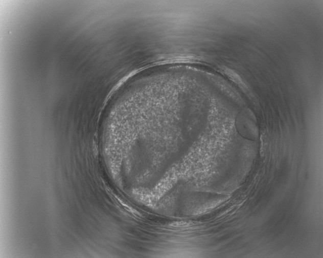 X0000055971212200509162149