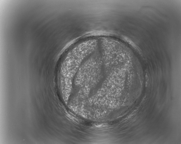 X0000055971213200509162149