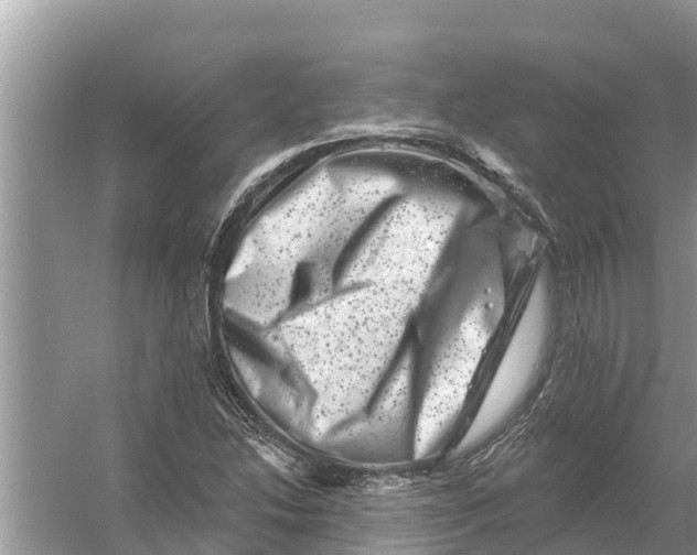 X0000055971214200509162149