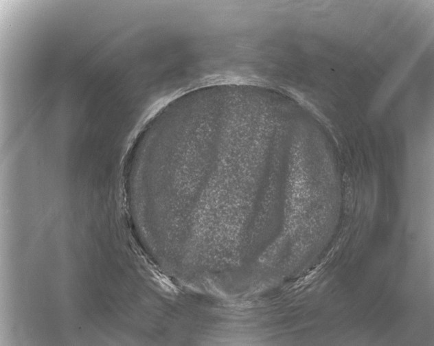 X0000055971215200509162150