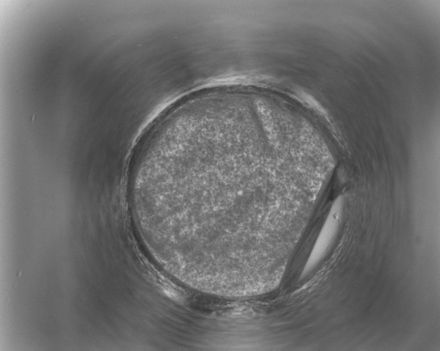 X0000055971216200509162150