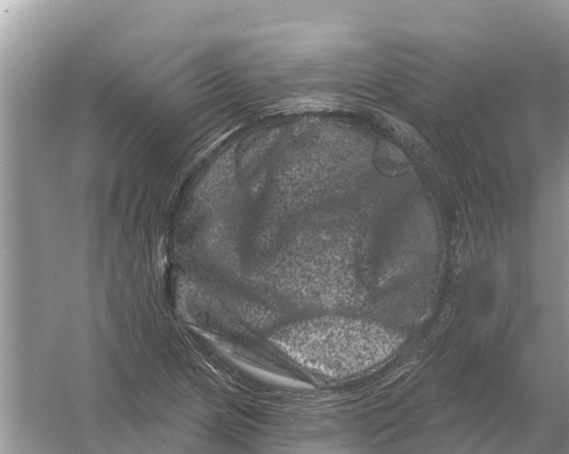 X0000055971217200509162150