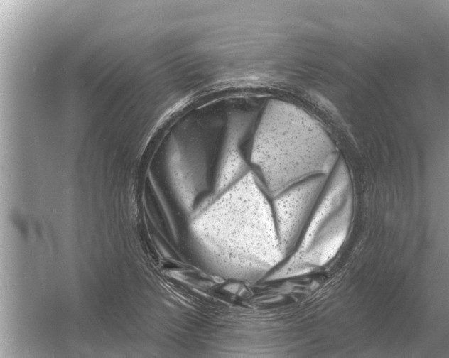 X0000055971218200509162150