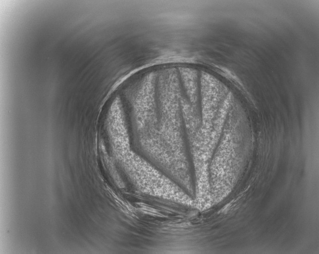 X0000055971220200509162150