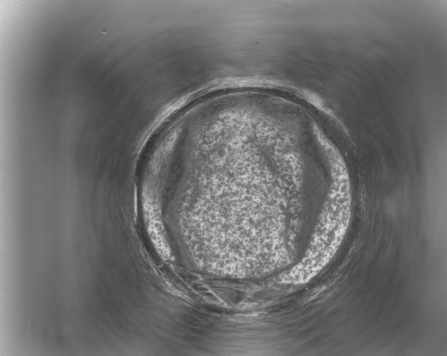 X0000055971221200509162150