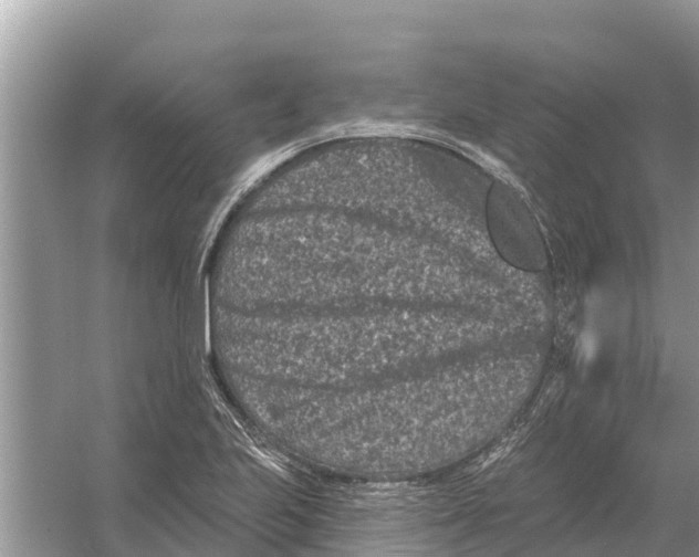 X0000055971223200509162150