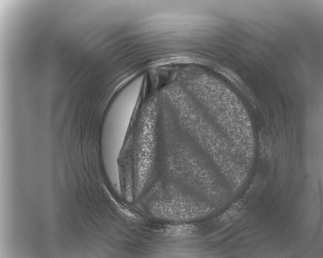 X0000055971225200509162150