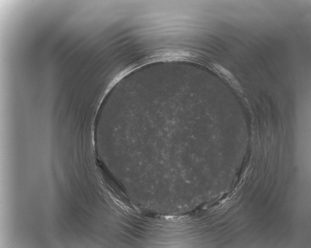 X0000055971226200509162150