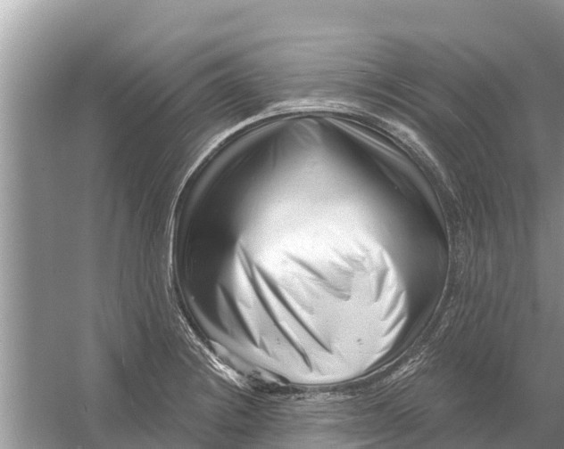 X0000055971228200509162150