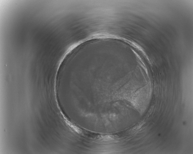 X0000055971231200509162150