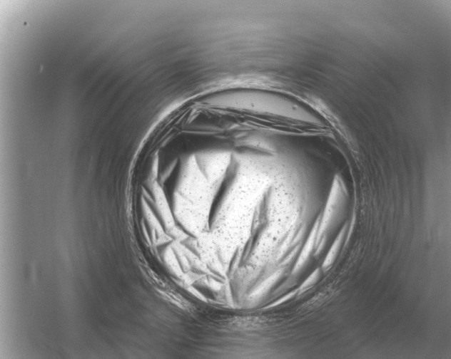 X0000055971232200509162150