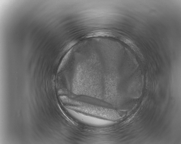 X0000055971233200509162150