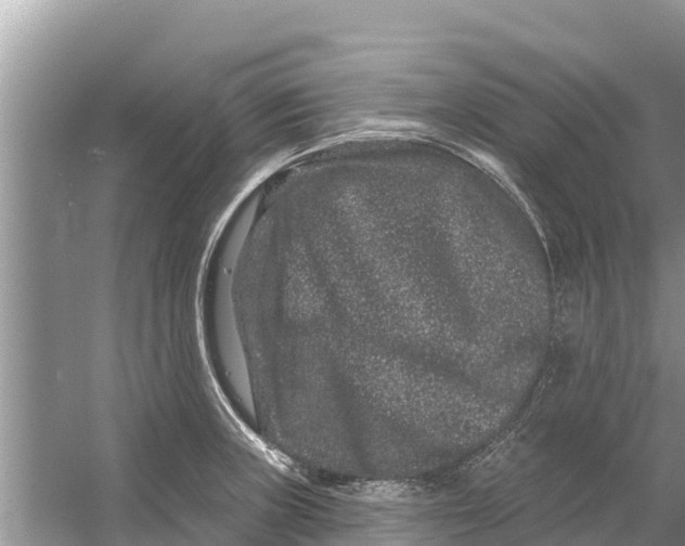 X0000055971235200509162150