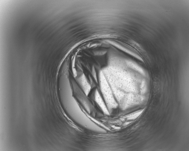 X0000055971236200509162150