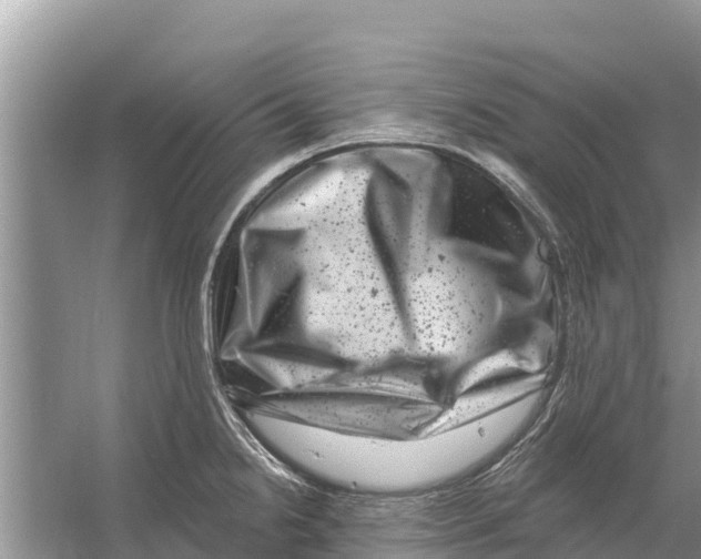 X0000055971238200509162150