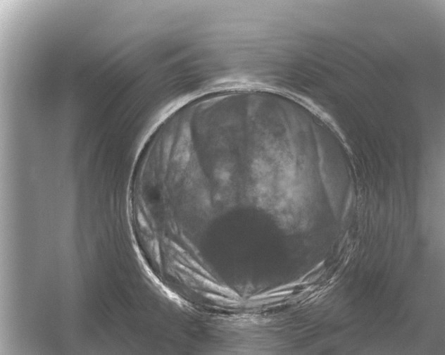 X0000055971239200509162150