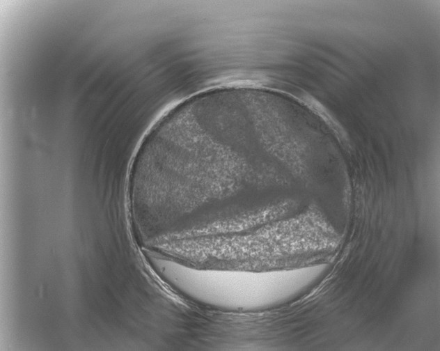 X0000055971240200509162150