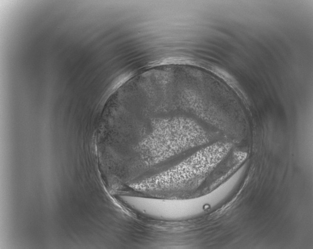 X0000055971241200509162150