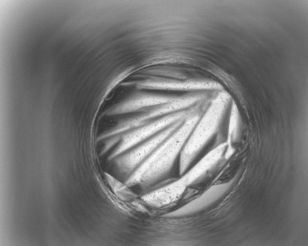 X0000055971242200509162150