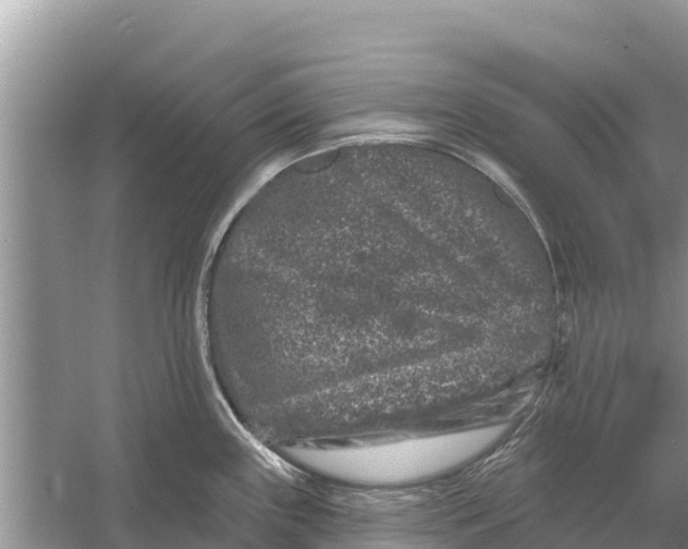 X0000055971243200509162150