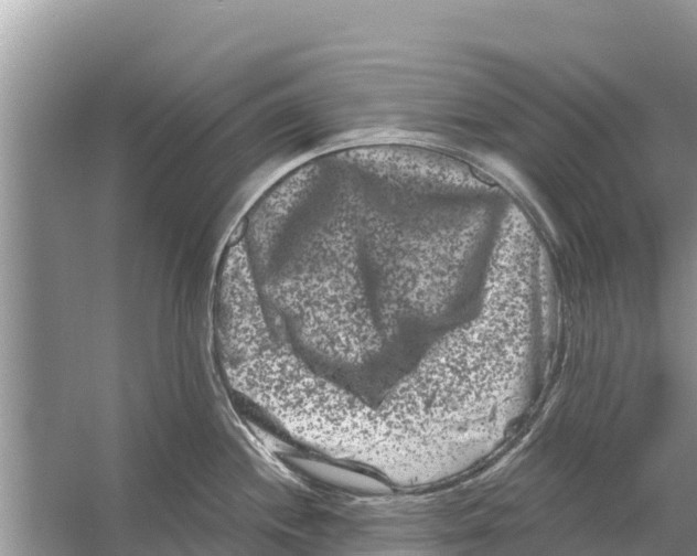 X0000055971244200509162150